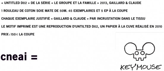 'untitled D02', Gaillard & Claude 2013