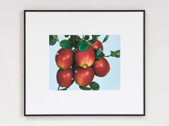 Freek Wambacq - Rain - Meinl Nino 596 Botany Shaker Apple