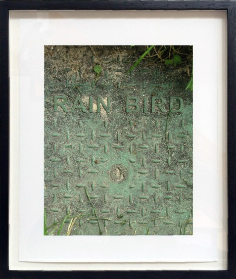 Franck Scurti "Rain Bird" 2017 — framed